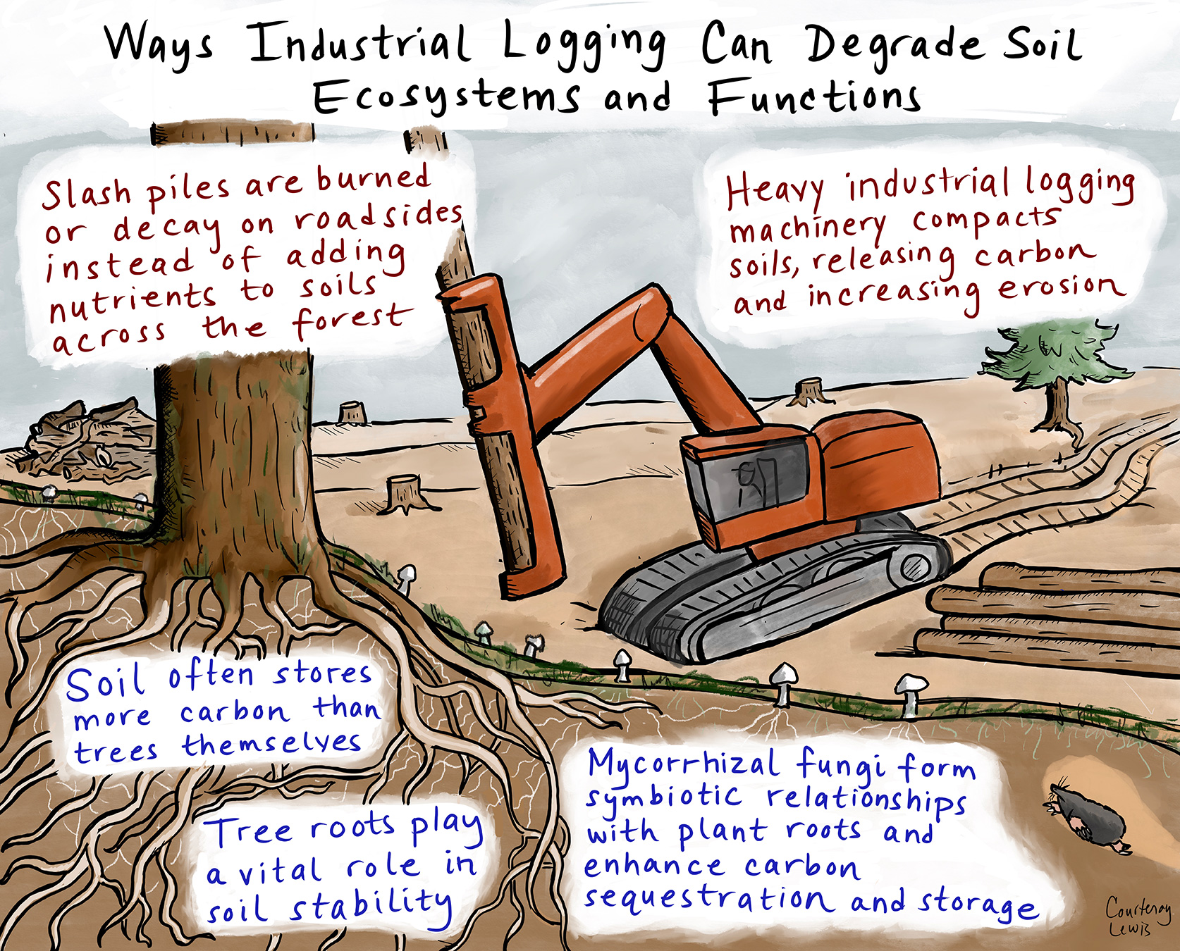 Soils Soils