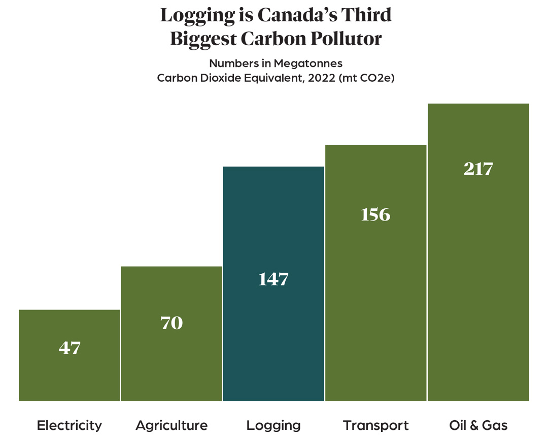 Logging-emissions-graph