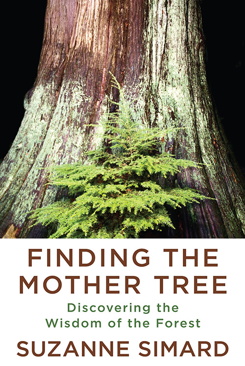 Mother-Trees-and-the-Social-Forest Mother-Trees-and-the-Social-Forest