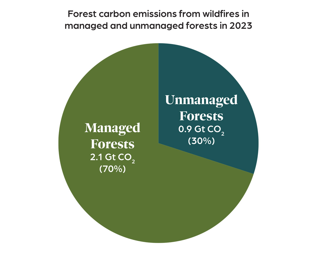 Wildfire-emissions-WRI-graph Wildfire-emissions-WRI-graph